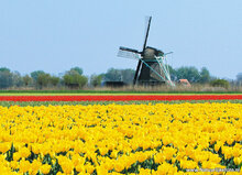 molen ansichtkaarten - set met 12 molenkaarten (nr. 64)