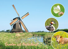 Postcrossing kaarten - set met 8 kaarten voor Postcrossing (nr. 77)