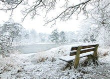 Ansichtkaarten set winter - set met 12 winterse kaarten (nr. 88)