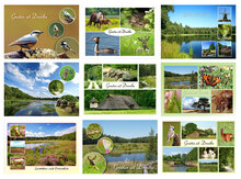 Drenthe ansichtkaarten (set nr. 92)
