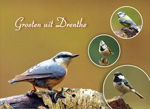 Drenthe ansichtkaarten (set nr. 92)