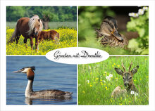 Drenthe ansichtkaarten (set nr. 92)