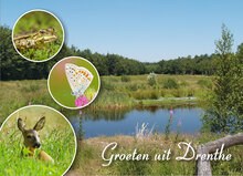 Drenthe ansichtkaarten (set nr. 92)