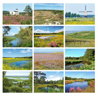 Nederland ansichtkaarten - set met 12 landschap kaarten (nr. 91)