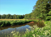 Nederland ansichtkaarten - set met 12 landschap kaarten (nr. 91)