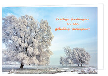 Luxe kerstkaarten 2025-2026 - set van 30 gevouwen kaarten met enveloppen (set nr. 104)