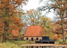 Herfst kaarten - set met 11 herfstkaarten (nr. 34)
