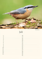 Verjaardagskalender vogels