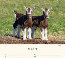 Verjaardagskalender dieren