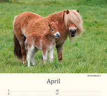 Verjaardagskalender dieren