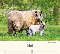 Verjaardagskalender dieren