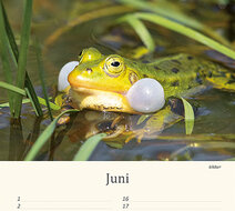 Verjaardagskalender dieren