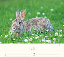 Verjaardagskalender dieren