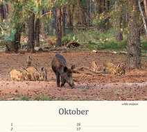 Verjaardagskalender dieren