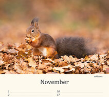 Verjaardagskalender dieren