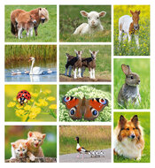 Kinderkaarten - set met 11 kaarten (nr. 95)