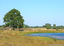 Fotografie workshop Appelscha
