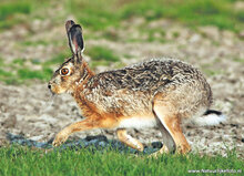 Fotografie workshop Hoogezand | Fotografie cursus Hoogezand