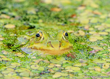 Fotografie workshop Hoogeveen