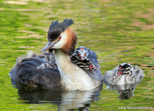 Fotografie workshop Assen