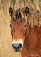 Fotografie workshop Assen