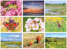 Natuur ansichtkaarten set - ideaal voor Postcrossing - set met 9 natuur kaarten (nr. 133)