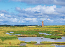 Natuur ansichtkaarten set - ideaal voor Postcrossing - set met 9 natuur kaarten (nr. 133)
