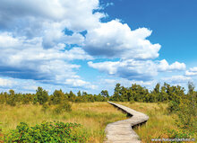 Natuur ansichtkaarten set - ideaal voor Postcrossing - set met 8 natuur kaarten (nr. 134)