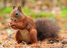 Fotografie workshop Groningen | Fotografie cursus Groningen