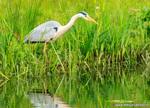 Fotografie workshop Haren | cursus fotografie Haren