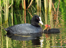 Fotografie workshop Haren | cursus fotografie Haren