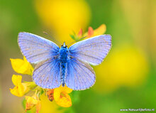Fotografie workshop Haren | cursus fotografie Haren