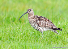 Fotografie workshop Eernewoude | Fotografie cursus Eernewoude