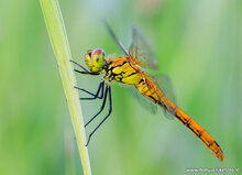 Fotografie workshop Hoogeveen | 	Fotografie cursus Hoogeveen