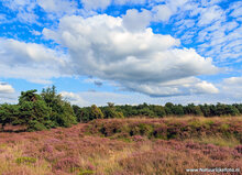 Fotografie workshop Hoogeveen | 	Fotografie cursus Hoogeveen