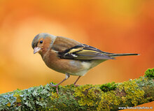 Fotografie workshop Hoogezand | Fotografie cursus Hoogezand