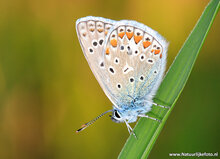 Fotografie workshop Hoogeveen | 	Fotografie cursus Hoogeveen