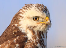 Fotografie workshop Assen | Fotografie cursus Assen