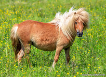 Fotografie workshop Haren | cursus fotografie Haren
