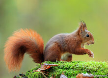Fotografie workshop Appelscha | Fotografie cursus Appelscha