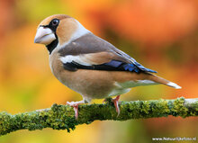 Fotografie workshop Haren | cursus fotografie Haren