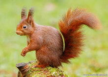 Fotografie workshop Haren | cursus fotografie Haren