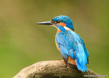 Fotografie workshop Haren | cursus fotografie Haren