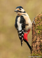 Fotografie workshop Hoogezand | Fotografie cursus Hoogezand