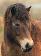 Fotografie workshop Hoogezand | Fotografie cursus Hoogezand
