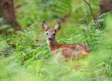 Fotografie workshop Hoogezand | Fotografie cursus Hoogezand
