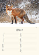 Verjaardagskalender dieren