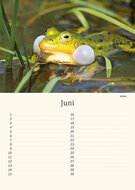 Verjaardagskalender dieren