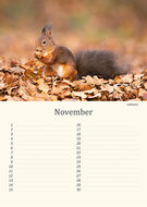 Verjaardagskalender dieren