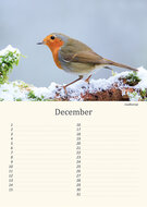 Verjaardagskalender dieren